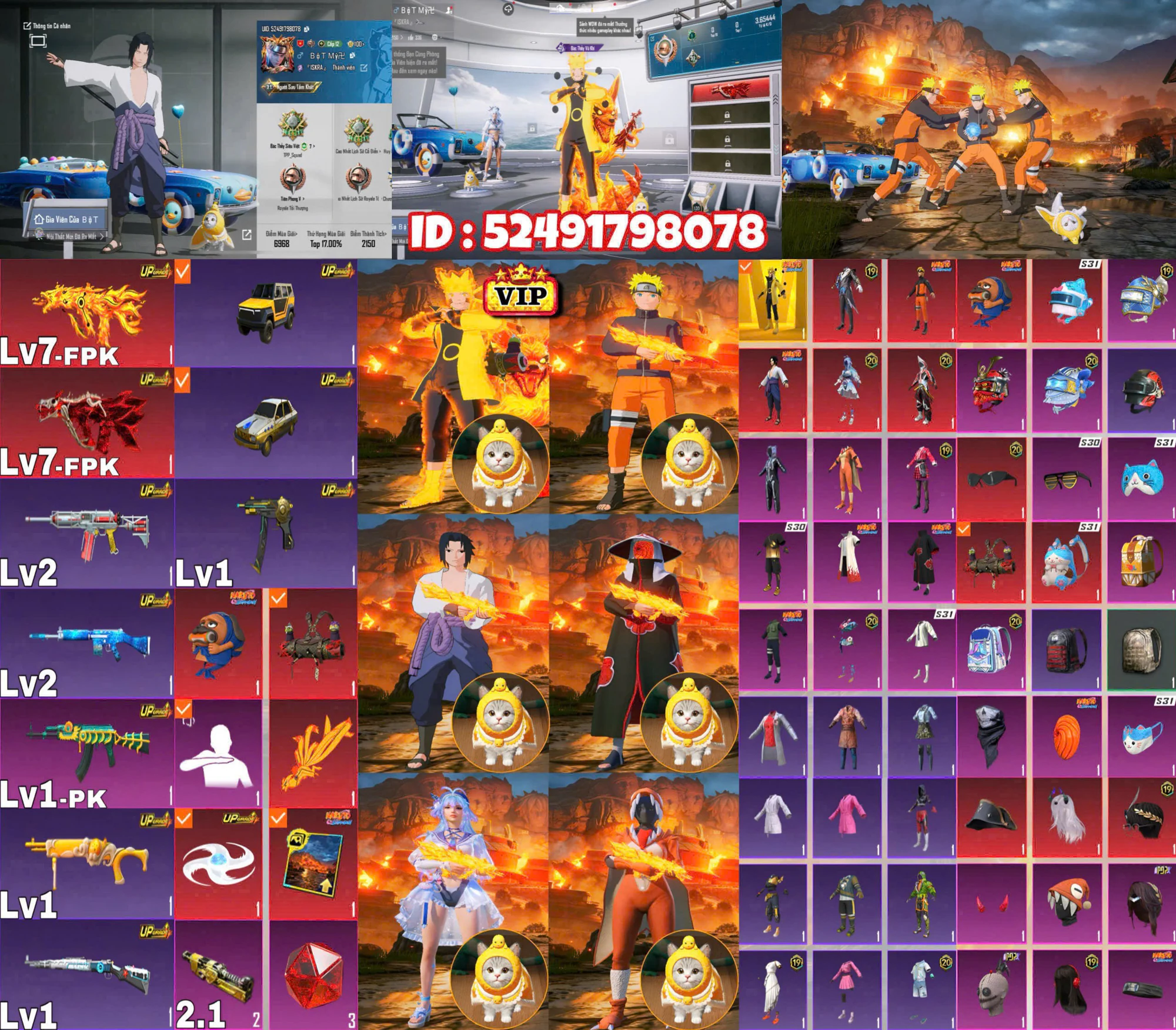 Ảnh tài khoản mã 6790