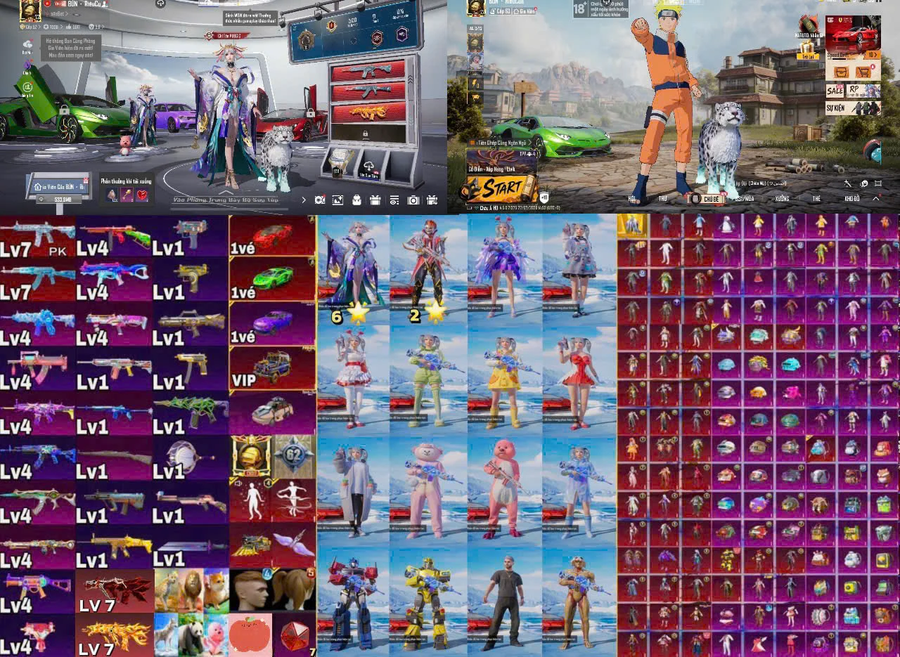 Ảnh tài khoản mã 1010