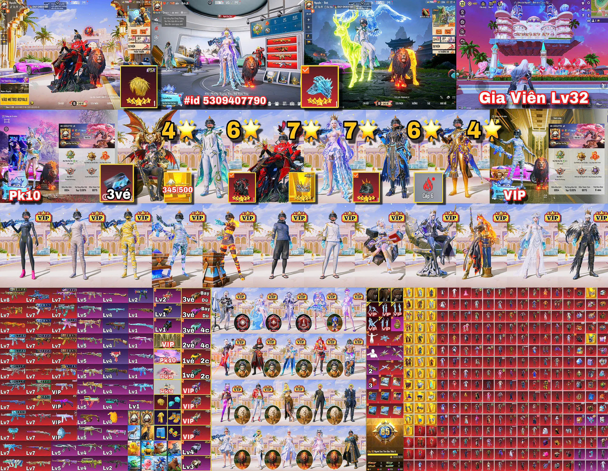 Ảnh tài khoản mã 354